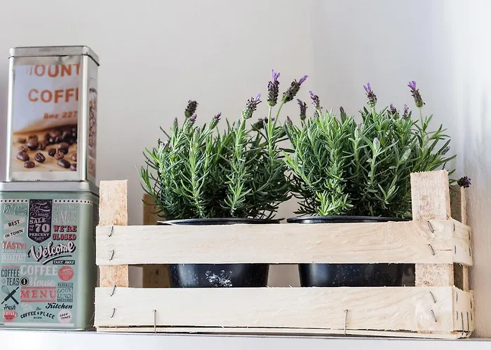 Szálloda Torrigiani Flat